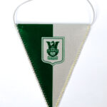 Triangular car flag